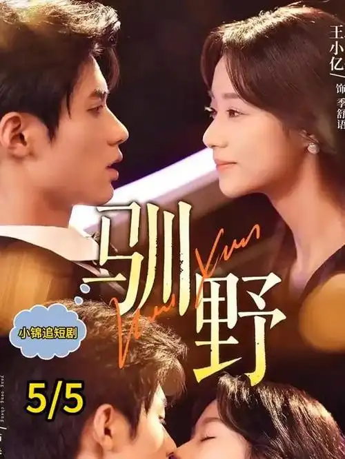 归途列车 现实主义热播电视剧全集在线看